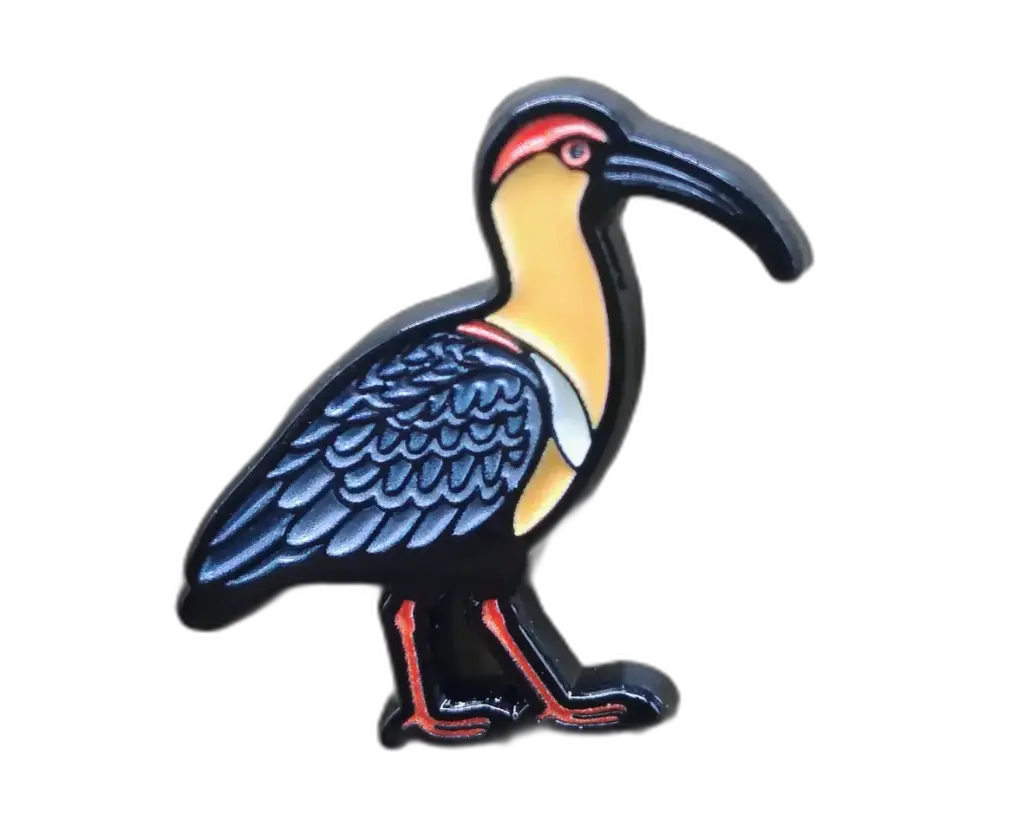 [0200] Fauna Chilena : Bandurria Pin